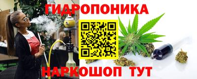 спайс Берёзовский
