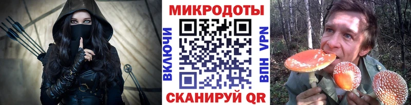 как найти закладки  Новороссийск  Галлюциногенные грибы прущие грибы 